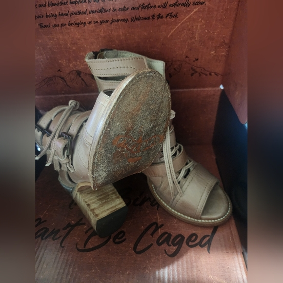 Freebird by Steven Braeden - Picture 3 of 3